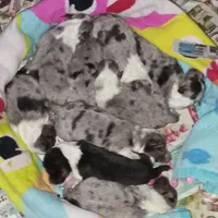 processed/b0f0b177-2005-4388-b1f7-a33d44f0c40e/facility/322d011a-0cd1-405f-b445-994bbcc3d7bd