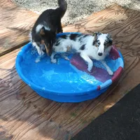 processed/b0f0b177-2005-4388-b1f7-a33d44f0c40e/facility/440bd09b-0ca2-478c-b116-257992938f37