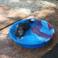 processed/b0f0b177-2005-4388-b1f7-a33d44f0c40e/facility/44255182-123e-4c92-bb9f-2cb74412e3fa