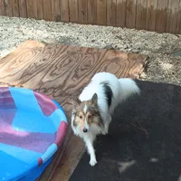 processed/b0f0b177-2005-4388-b1f7-a33d44f0c40e/facility/9e2c47a1-3346-4592-a7af-0c52880d28c1