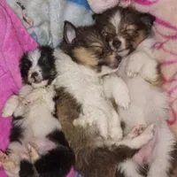 processed/b0f0b177-2005-4388-b1f7-a33d44f0c40e/facility/ac8939c1-82bf-417f-85fb-c6e1b839535e