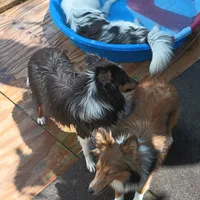 processed/b0f0b177-2005-4388-b1f7-a33d44f0c40e/facility/bc4f8bea-63af-43e9-8f15-4a0f6bf80398