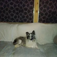 processed/b0f0b177-2005-4388-b1f7-a33d44f0c40e/facility/cc288795-f221-48d0-9bb4-c802b58afc74