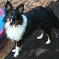 processed/b0f0b177-2005-4388-b1f7-a33d44f0c40e/facility/d2c35d4f-2cc4-450c-9c9d-2a8ca2ebf6b6