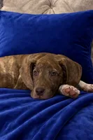 processed/b0f6c7cc-f2e4-4846-aacd-1936c77aceab/listing/31bbc7a9-bb2b-49f7-9913-a4243b4dc0e4/8fc18daa-ba09-463a-a147-deb5565add90