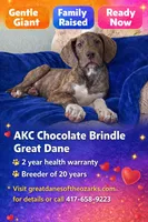 processed/b0f6c7cc-f2e4-4846-aacd-1936c77aceab/listing/31bbc7a9-bb2b-49f7-9913-a4243b4dc0e4/95e33c04-b8e7-44f5-9641-ce9adba44d3b