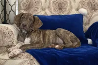 processed/b0f6c7cc-f2e4-4846-aacd-1936c77aceab/listing/31bbc7a9-bb2b-49f7-9913-a4243b4dc0e4/9e4e6eb2-cd49-47bb-853c-1efd47bc26dd