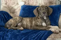 processed/b0f6c7cc-f2e4-4846-aacd-1936c77aceab/listing/31bbc7a9-bb2b-49f7-9913-a4243b4dc0e4/cdd81fa7-b459-4ba8-8a42-2f41d9508ccf