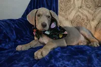 processed/b0f6c7cc-f2e4-4846-aacd-1936c77aceab/listing/3e10000d-cbbf-4466-bbbe-7f02fd09f94f/6de92320-ab1f-4287-93e5-eba96c58512c