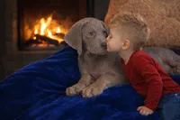 processed/b0f6c7cc-f2e4-4846-aacd-1936c77aceab/listing/3e10000d-cbbf-4466-bbbe-7f02fd09f94f/dbea4e8c-717d-479f-8ae5-c00f5964ee6f