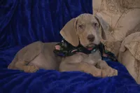 processed/b0f6c7cc-f2e4-4846-aacd-1936c77aceab/listing/3e10000d-cbbf-4466-bbbe-7f02fd09f94f/f7f4adb9-f426-4b30-99bf-0f403d17f4dd