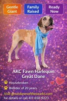 processed/b0f6c7cc-f2e4-4846-aacd-1936c77aceab/listing/5b3bb6f1-b87b-4f91-b33d-5a058821e853/3a442e2e-7c70-421d-ab92-bb354ae64d63