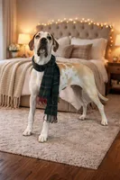 processed/b0f6c7cc-f2e4-4846-aacd-1936c77aceab/listing/5b3bb6f1-b87b-4f91-b33d-5a058821e853/6a35bdf2-ee20-4cfa-85ca-2f5197f36e33