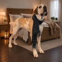 processed/b0f6c7cc-f2e4-4846-aacd-1936c77aceab/listing/5b3bb6f1-b87b-4f91-b33d-5a058821e853/fbb42c38-fd98-48f1-a24b-d49bdf0fbcad