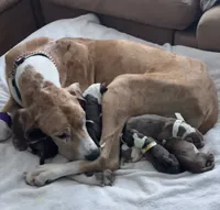 processed/b0f6c7cc-f2e4-4846-aacd-1936c77aceab/listing/630b96f8-7b14-483a-800d-625ea2b0a699/38ea904d-89aa-4e83-9944-2684d9100c92