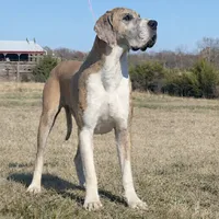 processed/b0f6c7cc-f2e4-4846-aacd-1936c77aceab/listing/630b96f8-7b14-483a-800d-625ea2b0a699/fab49e19-7035-4312-9df1-17fef510c797