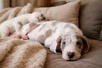 processed/b0f6c7cc-f2e4-4846-aacd-1936c77aceab/listing/76b629de-c24a-46db-9a44-c47a778bd8cc/751233d4-992b-43ec-aa16-530f6d5a6945