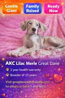 processed/b0f6c7cc-f2e4-4846-aacd-1936c77aceab/listing/c5c918b3-7740-4efd-b997-6ca1d67702d3/38d867a2-f79a-4f79-a336-d79299fb9616