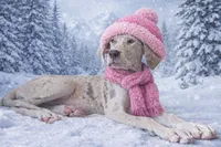 processed/b0f6c7cc-f2e4-4846-aacd-1936c77aceab/listing/c5c918b3-7740-4efd-b997-6ca1d67702d3/de272603-65a3-4db1-afb8-af18b4171425