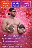 processed/b0f6c7cc-f2e4-4846-aacd-1936c77aceab/listing/cb2ca45b-dab4-4df2-a457-aec78ba79568/e6886593-33d6-4ec7-b085-757bbe56442e