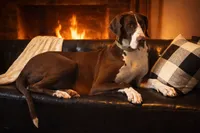 processed/b0f6c7cc-f2e4-4846-aacd-1936c77aceab/listing/fdc73e62-fc08-45a1-8b09-20a9bc7485db/87e2c0df-1a1b-4b25-9c3d-ba3b9242d322