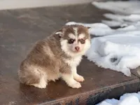 processed/b0f9fe83-ee3b-4301-afe5-235cdf38b37a/listing/239cbe56-8156-47ea-8033-e8d4c729ec20/1864a53a-b498-4a10-9ae4-ab483c512f67