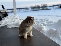 processed/b0f9fe83-ee3b-4301-afe5-235cdf38b37a/listing/239cbe56-8156-47ea-8033-e8d4c729ec20/3777a073-48c4-4b3d-b89a-798499f66571