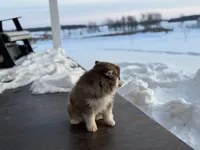 processed/b0f9fe83-ee3b-4301-afe5-235cdf38b37a/listing/239cbe56-8156-47ea-8033-e8d4c729ec20/70a56567-0146-4719-9a4a-ace470748f45