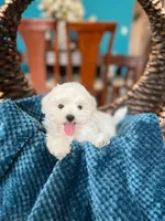 processed/b0fa298c-8472-4734-a77b-ff2114853872/listing/0606aedf-a692-4711-9b40-65d26bdaa204/1ef930f9-6e00-433c-ac06-4ca473fc1bef