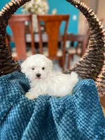 processed/b0fa298c-8472-4734-a77b-ff2114853872/listing/0606aedf-a692-4711-9b40-65d26bdaa204/9c6067ee-3c82-4501-93ed-6deb7f4811a8