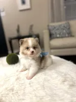 processed/b0fa298c-8472-4734-a77b-ff2114853872/listing/3113978e-4b70-44cf-ac90-24e0734107ff/a356337c-ddc9-48f6-97b6-a2d5586c41c9