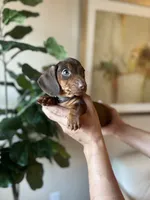 processed/b0fa298c-8472-4734-a77b-ff2114853872/listing/39deabd2-eedf-4848-933c-32e19415962f/4f6029f6-6e86-419c-96d2-769ce82174e8