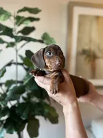 processed/b0fa298c-8472-4734-a77b-ff2114853872/listing/39deabd2-eedf-4848-933c-32e19415962f/f4b9e15a-4382-494d-a6df-4a4b772c3b3c