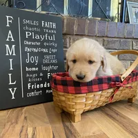 processed/b0ff3828-364c-4fcb-9966-20380e557fd0/facility/773d16c9-2b6f-4b5d-bf88-def1c62dd10a