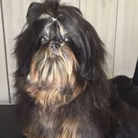 processed/b10168d7-3c23-4261-a21e-a350313df25f/facility/f16e844c-0d81-4fc8-a17d-47daf93dac8e