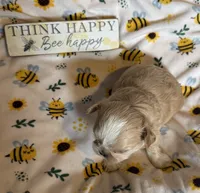 processed/b10168d7-3c23-4261-a21e-a350313df25f/listing/8afa0bd3-151d-43d1-9748-58cda593bccf/d9946beb-c820-4c73-96dd-11feb4d9da63