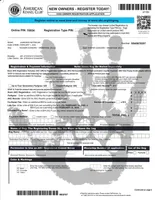 Gigi, a female Labrador Retriever for sale in Lakeland, FL – Photo 6 of 10