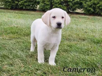 processed/b115d04b-0502-40ba-8937-388e846171a0/listing/aae44a4d-1e60-4e67-8da6-f1e5723bb17c/6b30a3a7-3e5e-4eb5-ba37-1352997b6024