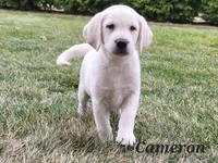 processed/b115d04b-0502-40ba-8937-388e846171a0/listing/aae44a4d-1e60-4e67-8da6-f1e5723bb17c/b3e2be34-2124-4b1f-b84d-522e9cbe7687