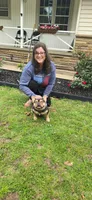 Athena, a female French Bulldog for sale in Seneca, MO – 4 of 6