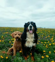 processed/b11e1750-18dc-47f9-bef9-fc00176bd70a/facility/096a43f6-1e6f-4d74-a5c1-12045528dcd8