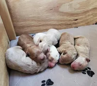 processed/b11e1750-18dc-47f9-bef9-fc00176bd70a/facility/09788202-983a-414a-9968-1f84844a5581