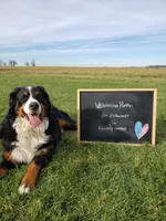 processed/b11e1750-18dc-47f9-bef9-fc00176bd70a/facility/4045b3b6-b344-4929-97ac-702671bf264b