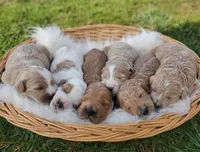 processed/b11e1750-18dc-47f9-bef9-fc00176bd70a/facility/418ed909-5fe5-46f6-aa24-eb3e8da3635f