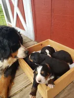 processed/b11e1750-18dc-47f9-bef9-fc00176bd70a/facility/51416c21-1bad-4175-bd46-c4a96ef4f306