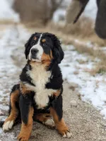 processed/b11e1750-18dc-47f9-bef9-fc00176bd70a/facility/c2873e22-6938-448b-95a9-945b5706db34