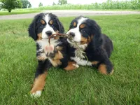 processed/b11e1750-18dc-47f9-bef9-fc00176bd70a/facility/c677f3b3-5526-4932-9493-9c1268e31cec