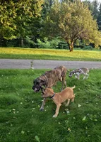 processed/b1202a4f-42b8-40f0-b621-ff4cdab3ccef/facility/039a4c55-75b2-447c-8031-078752d129dc