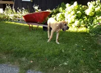 processed/b1202a4f-42b8-40f0-b621-ff4cdab3ccef/facility/5bfefb31-9231-4e29-b3a9-b8f965e9455e