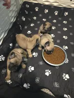 processed/b1202a4f-42b8-40f0-b621-ff4cdab3ccef/facility/c39018df-c538-4131-be95-3c91d8d75c3e